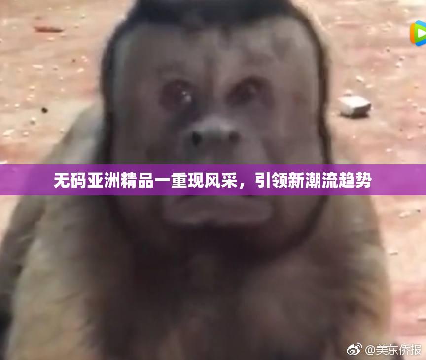 无码亚洲精品一重现风采，引领新潮流趋势