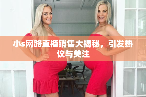 小s网路直播销售大揭秘，引发热议与关注