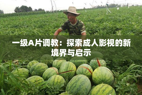 一级A片调教：探索成人影视的新境界与启示
