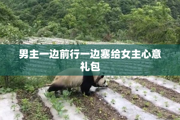 男主一边前行一边塞给女主心意礼包
