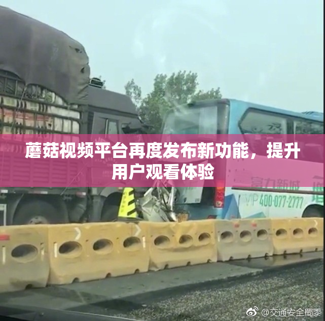 蘑菇视频平台再度发布新功能，提升用户观看体验