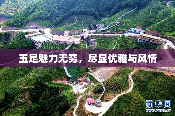 玉足魅力无穷，尽显优雅与风情