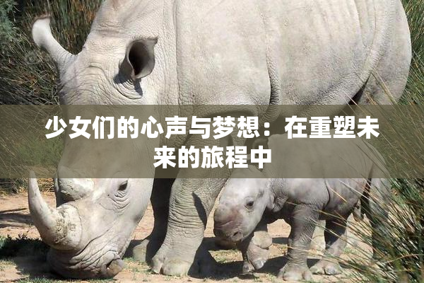 少女们的心声与梦想：在重塑未来的旅程中
