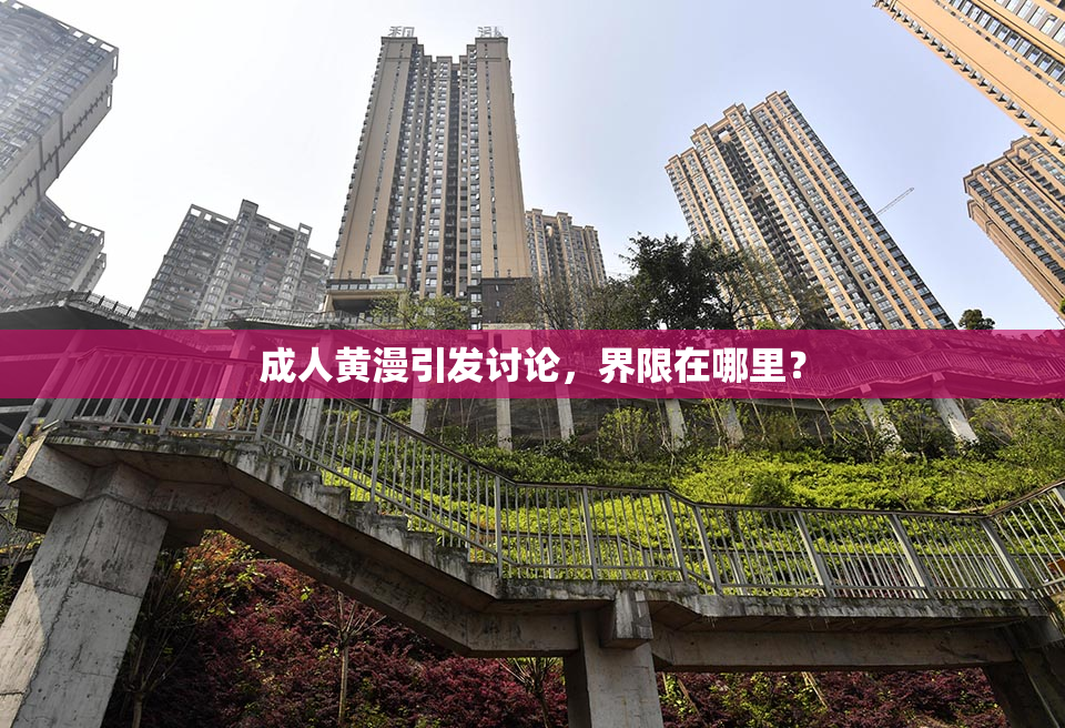 成人黄漫引发讨论，界限在哪里？