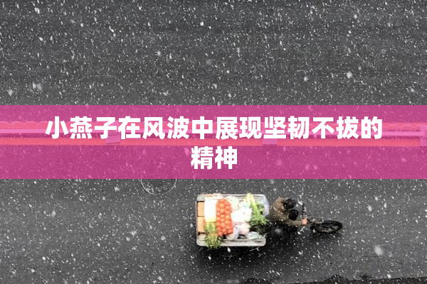 小燕子在风波中展现坚韧不拔的精神