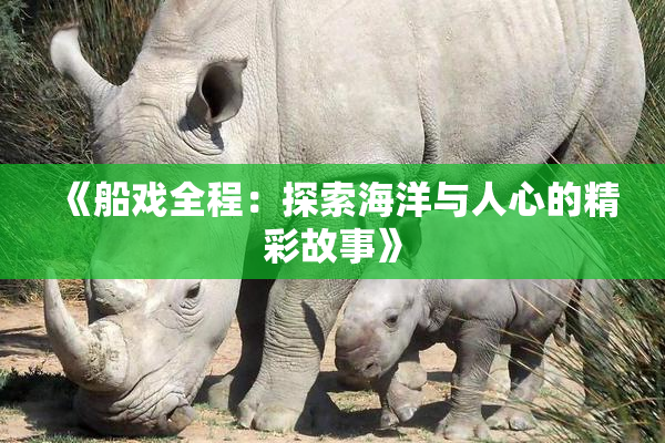 《船戏全程：探索海洋与人心的精彩故事》