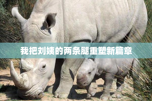我把刘姨的两条腿重塑新篇章