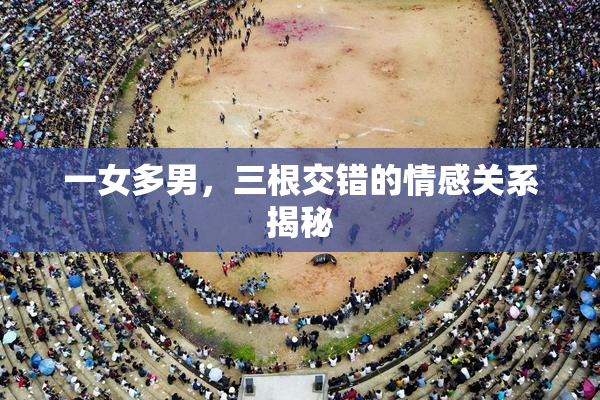 一女多男，三根交错的情感关系揭秘