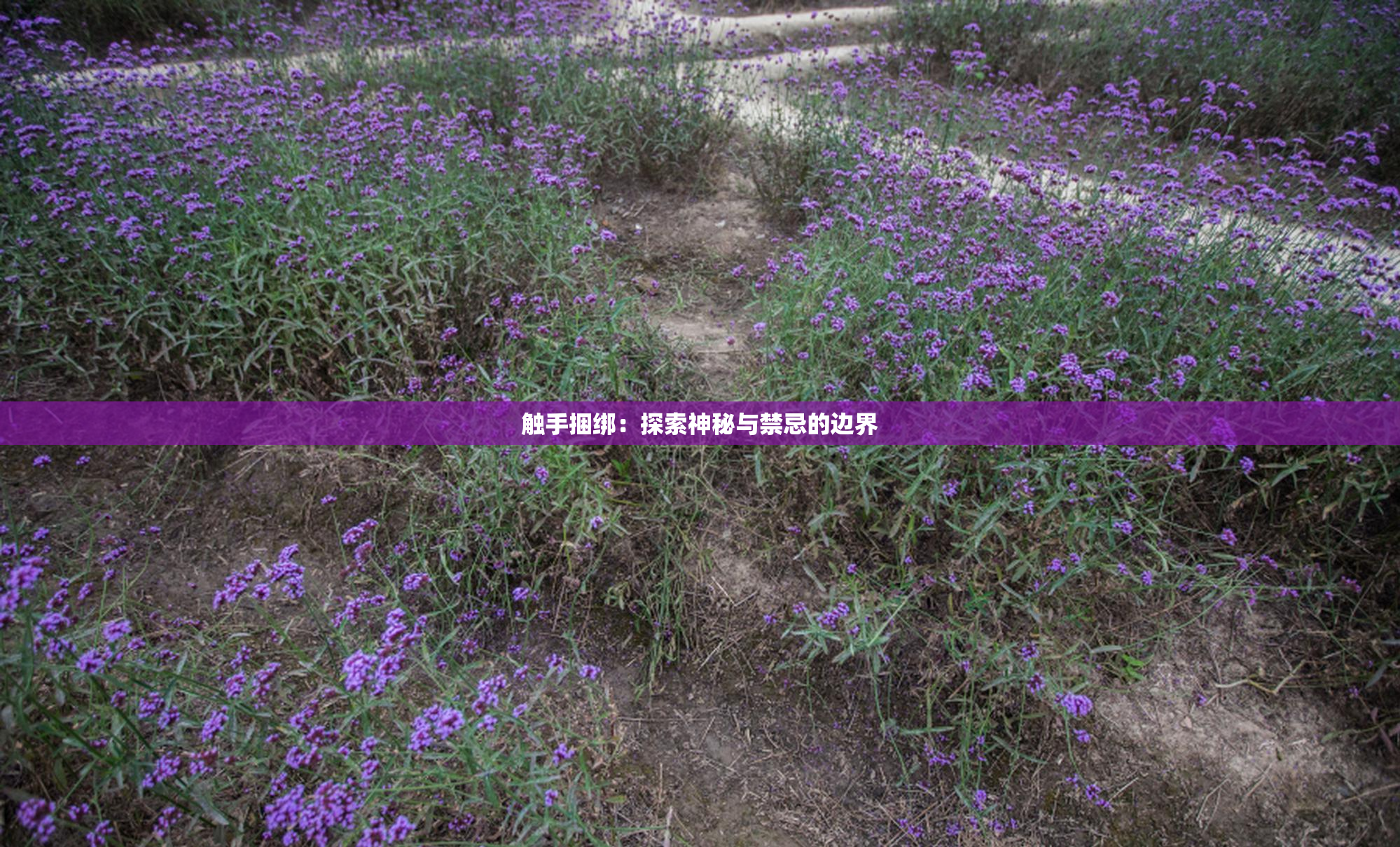 触手捆绑：探索神秘与禁忌的边界