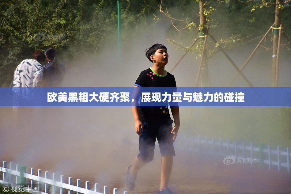 欧美黑粗大硬齐聚，展现力量与魅力的碰撞