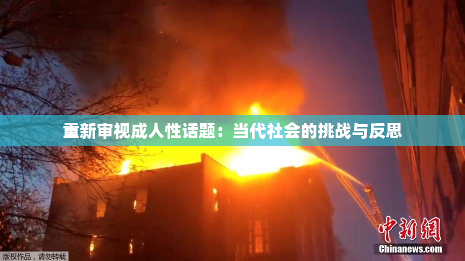 重新审视成人性话题：当代社会的挑战与反思