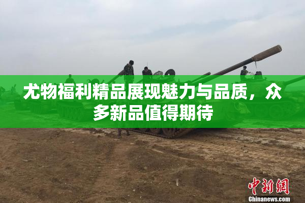 尤物福利精品展现魅力与品质，众多新品值得期待