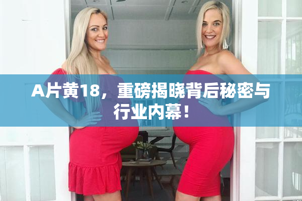A片黄18，重磅揭晓背后秘密与行业内幕！
