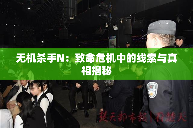 无机杀手N：致命危机中的线索与真相揭秘