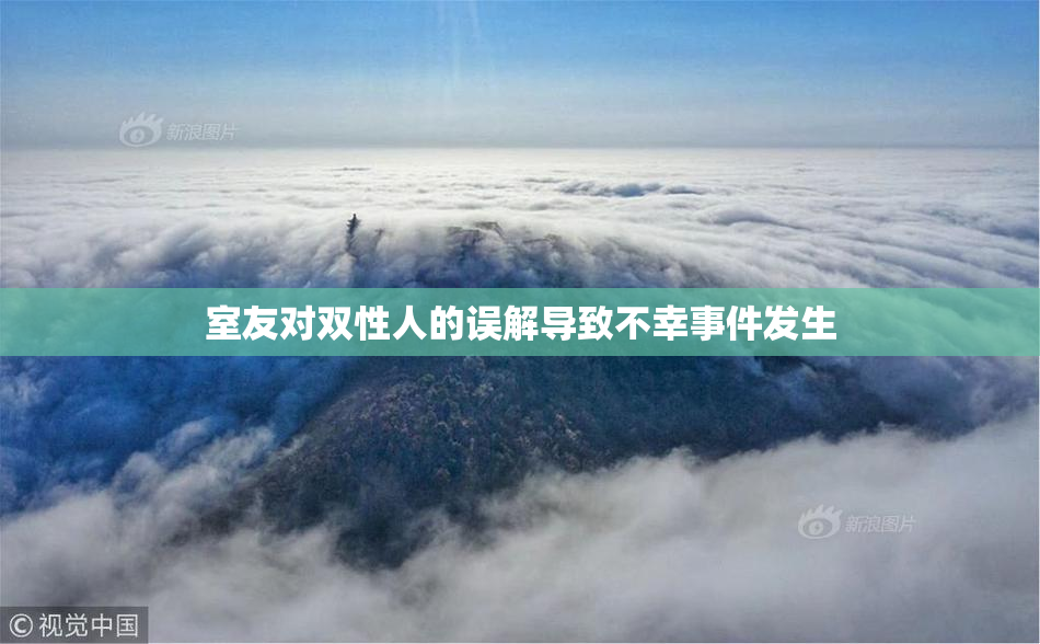 室友对双性人的误解导致不幸事件发生