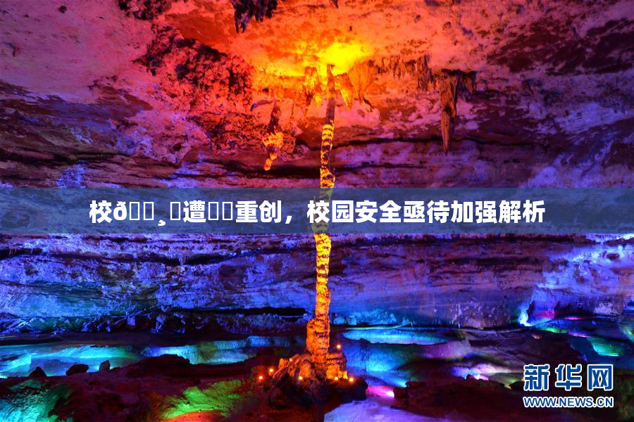 校🌸‌遭❌‌重创，校园安全亟待加强解析