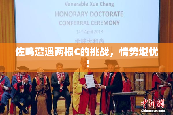 佐鸣遭遇两根C的挑战，情势堪忧！