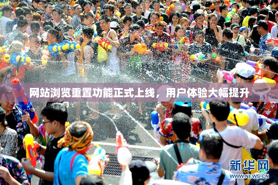 网站浏览重置功能正式上线，用户体验大幅提升