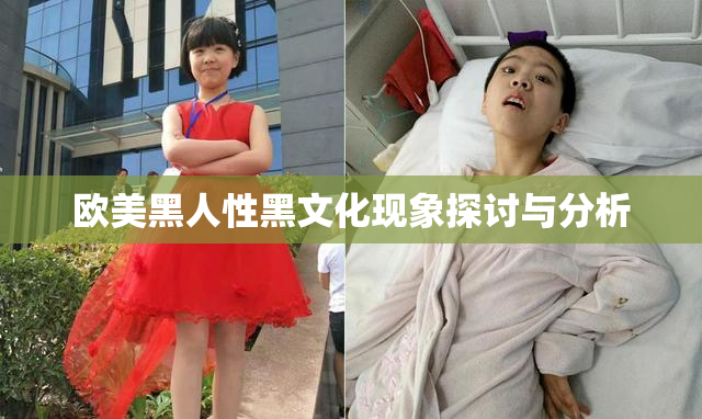 欧美黑人性黑文化现象探讨与分析