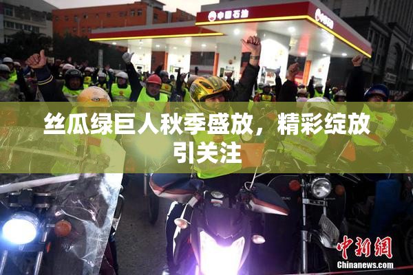 丝瓜绿巨人秋季盛放，精彩绽放引关注