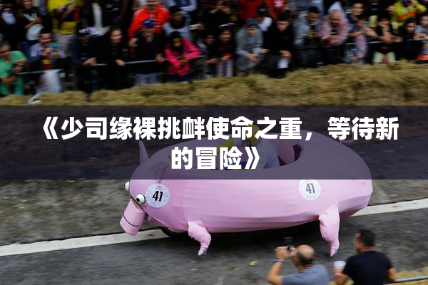 《少司缘裸挑衅使命之重，等待新的冒险》
