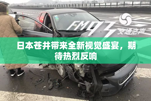 日本苍井带来全新视觉盛宴，期待热烈反响