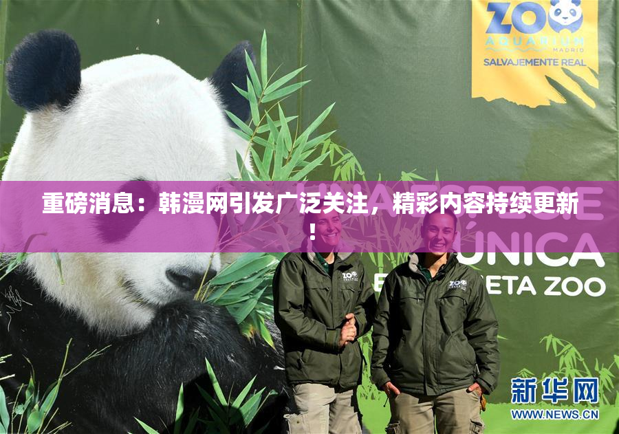 重磅消息：韩漫网引发广泛关注，精彩内容持续更新！