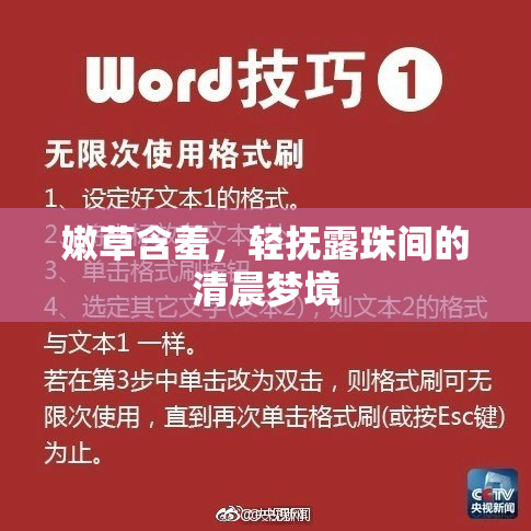 嫩草含羞，轻抚露珠间的清晨梦境
