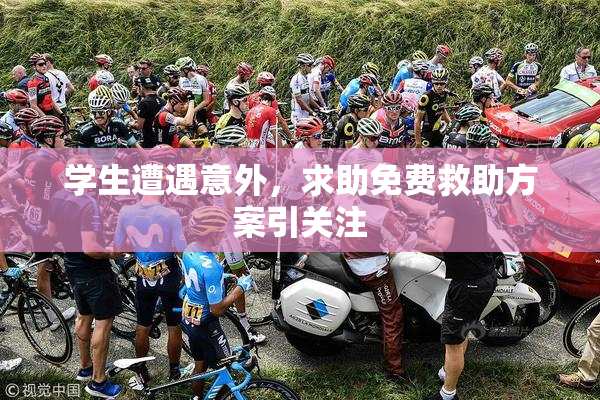 学生遭遇意外，求助免费救助方案引关注