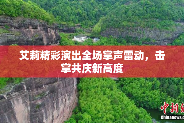 艾莉精彩演出全场掌声雷动，击掌共庆新高度