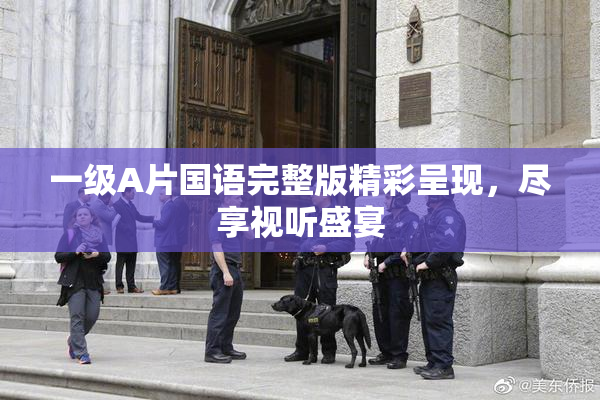 一级A片国语完整版精彩呈现，尽享视听盛宴