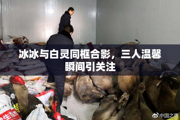 冰冰与白灵同框合影，三人温馨瞬间引关注