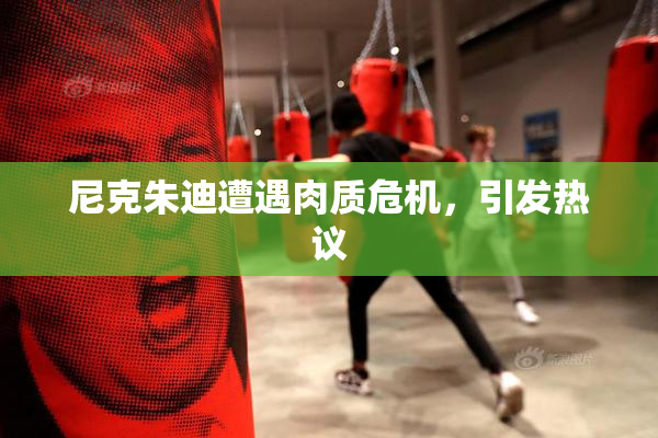 尼克朱迪遭遇肉质危机，引发热议