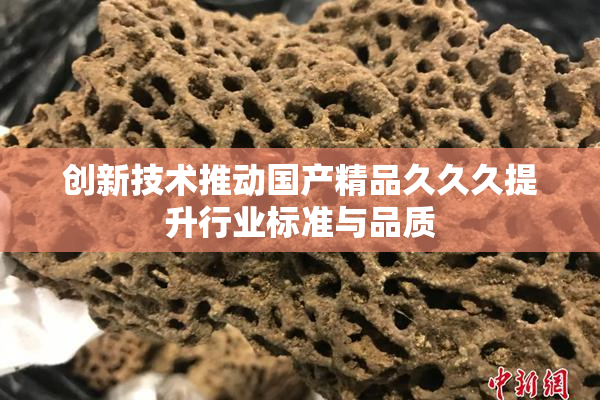 创新技术推动国产精品久久久提升行业标准与品质