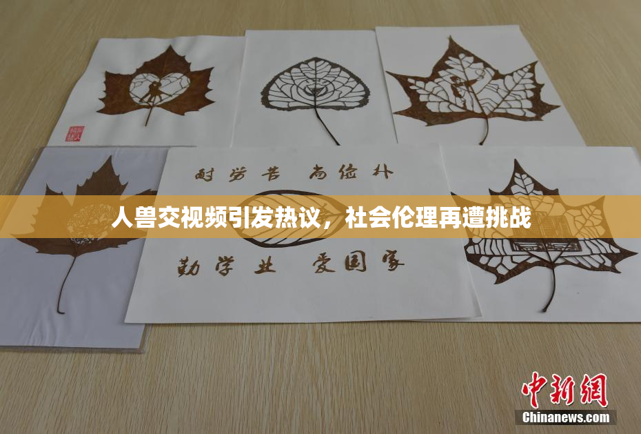 人兽交视频引发热议，社会伦理再遭挑战