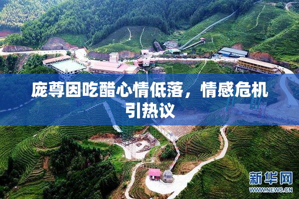 庞尊因吃醋心情低落，情感危机引热议