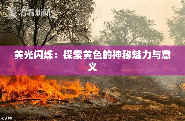 黄光闪烁：探索黄色的神秘魅力与意义