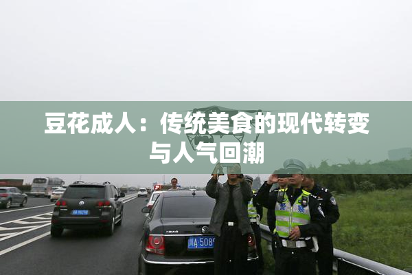 豆花成人：传统美食的现代转变与人气回潮