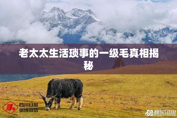 老太太生活琐事的一级毛真相揭秘