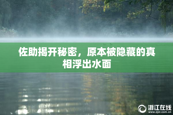 佐助揭开秘密，原本被隐藏的真相浮出水面