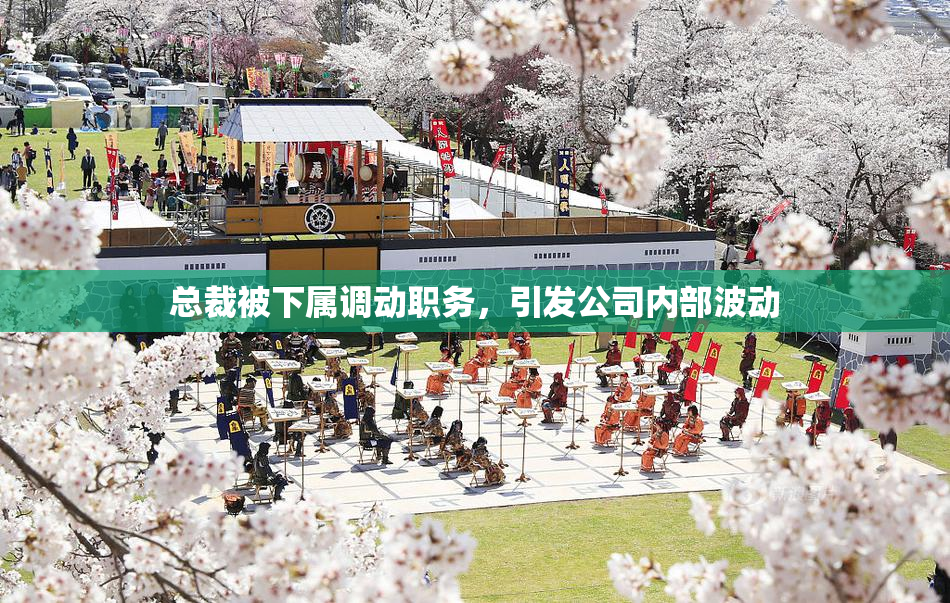 总裁被下属调动职务，引发公司内部波动