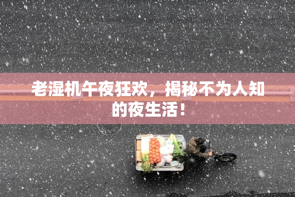 老湿机午夜狂欢，揭秘不为人知的夜生活！