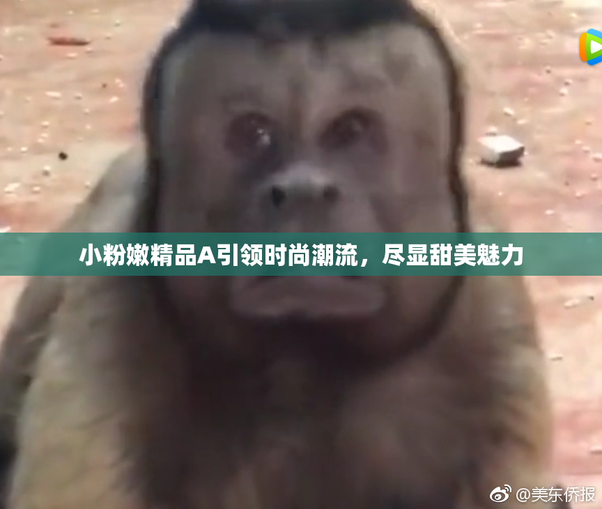 小粉嫩精品A引领时尚潮流，尽显甜美魅力