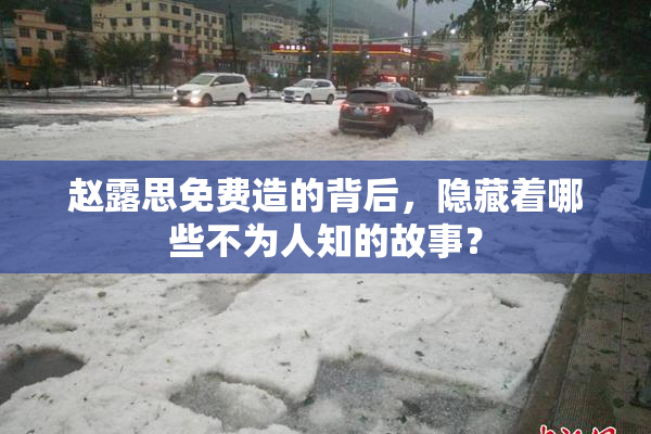 赵露思免费造的背后，隐藏着哪些不为人知的故事？