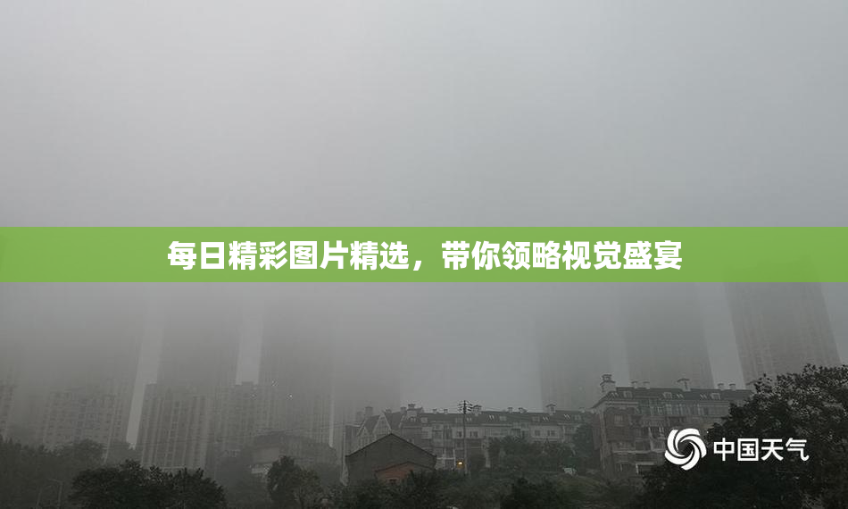 每日精彩图片精选，带你领略视觉盛宴