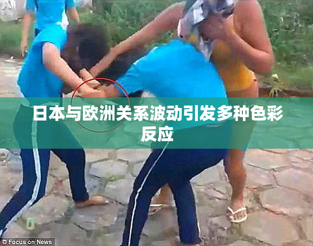 日本与欧洲关系波动引发多种色彩反应