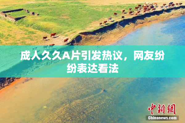 成人久久A片引发热议，网友纷纷表达看法
