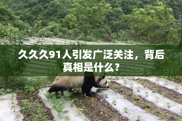 久久久91人引发广泛关注，背后真相是什么？