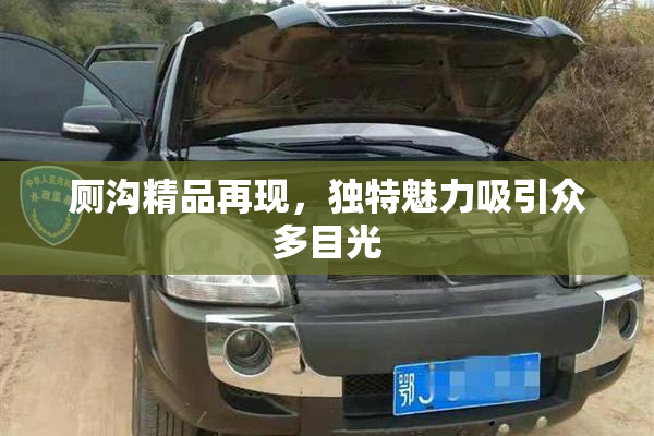 厕沟精品再现，独特魅力吸引众多目光