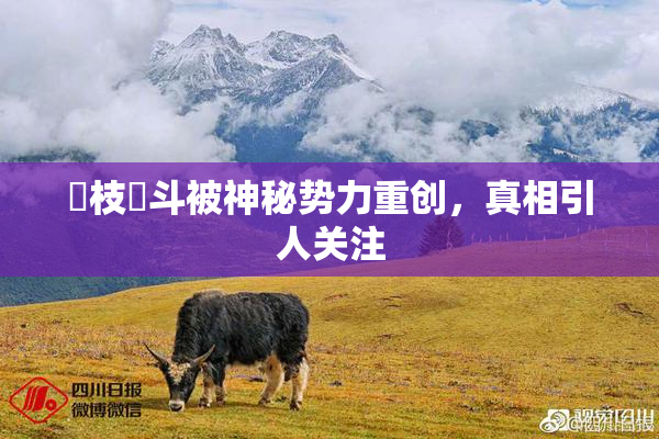 狛枝凪斗被神秘势力重创，真相引人关注